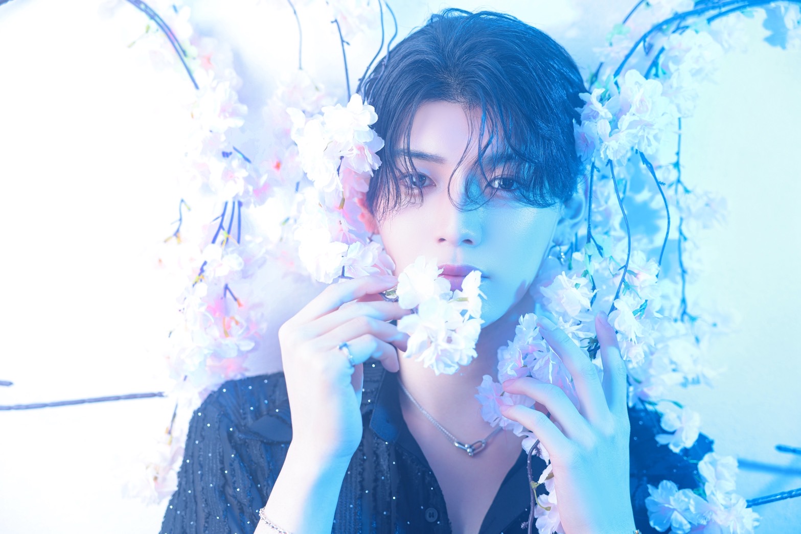 サク　ロッシュファースト　ホストクラブ　大阪ミナミ