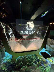 CLUB Berry